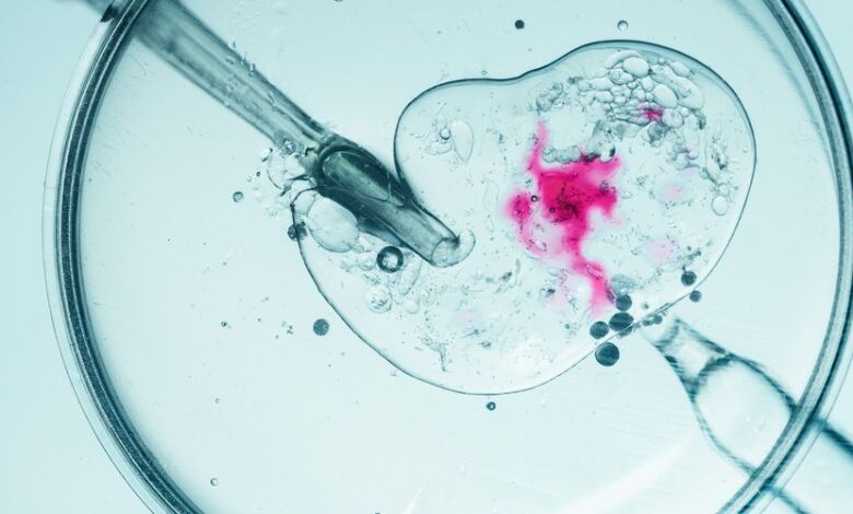 ‘Daha iyi bebek’ skandalı: Genetik elemeyle çocuk seçimi başladı