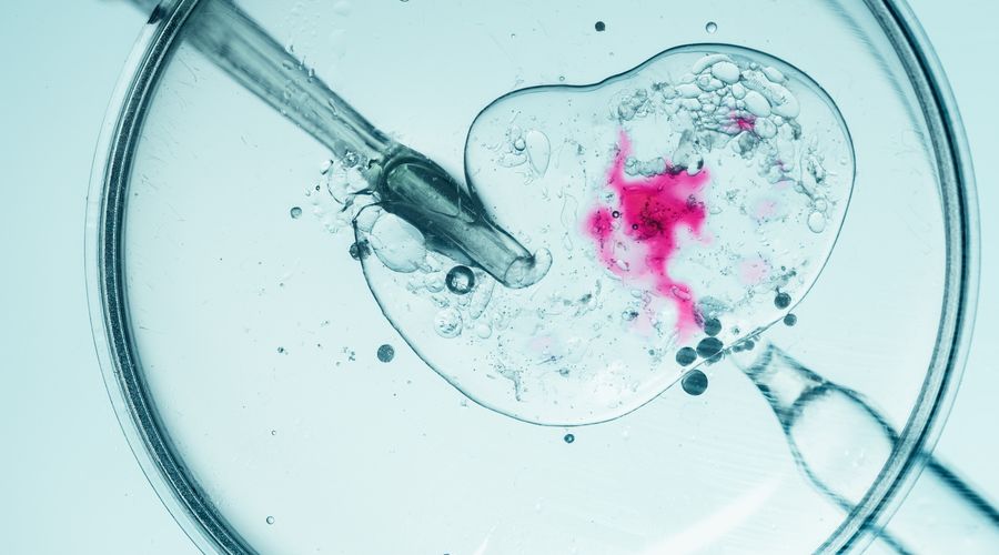 ‘Daha iyi bebek’ skandalı: Genetik elemeyle çocuk seçimi başladı