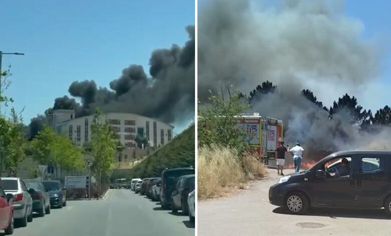 Kocaeli Şehir Hastanesi yakınındaki ormanlık alanda yangın çıktı