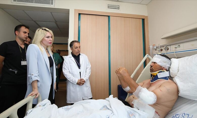 Aslan saldırısıyla yaralanan Kır’ın son durumu: Boynunda kırığı var, ameliyatlık değil