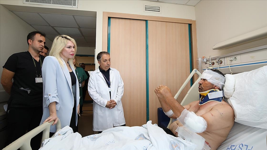 Aslan saldırısıyla yaralanan Kır’ın son durumu: Boynunda kırığı var, ameliyatlık değil Aslan saldırısıyla yaralanan Kır’ın son durumu: Boynunda kırığı var, ameliyatlık değil
