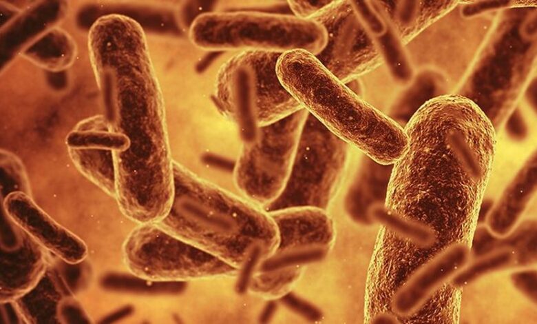 Bilim insanları bugüne kadar üretilmiş en sentetik canlıyı oluşturdu Bilim insanları bugüne kadar üretilmiş en sentetik canlıyı oluşturdu