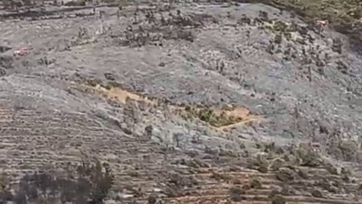 Bursa’daki orman yangını söndürüldü – Güncel Son Dakika Haberleri