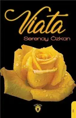 Sessizliğin Peşinde Bir Kitap: Serenay Özkan’ın Viata’sı – Edebiyat Sessizliğin Peşinde Bir Kitap: Serenay Özkan’ın Viata’sı – Edebiyat