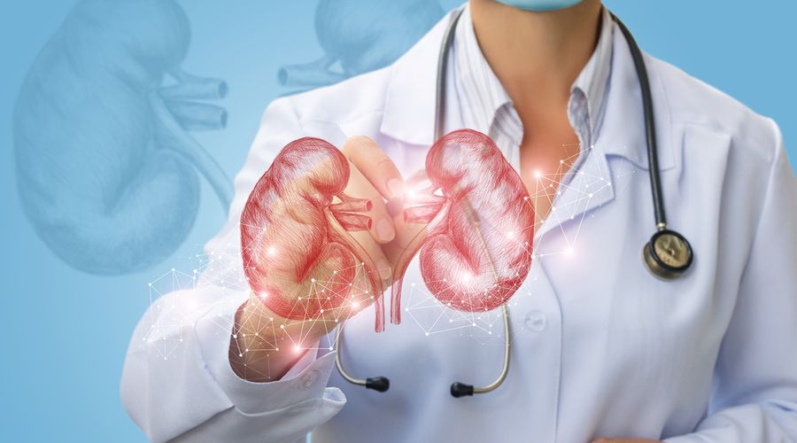 Tıp tarihinde bir ilk: Böbrekleri kurtaracak mikroRNA buldu Tıp tarihinde bir ilk: Böbrekleri kurtaracak mikroRNA buldu