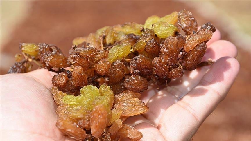 Kuru üzüm alım fiyatı 2025 ne kadar?