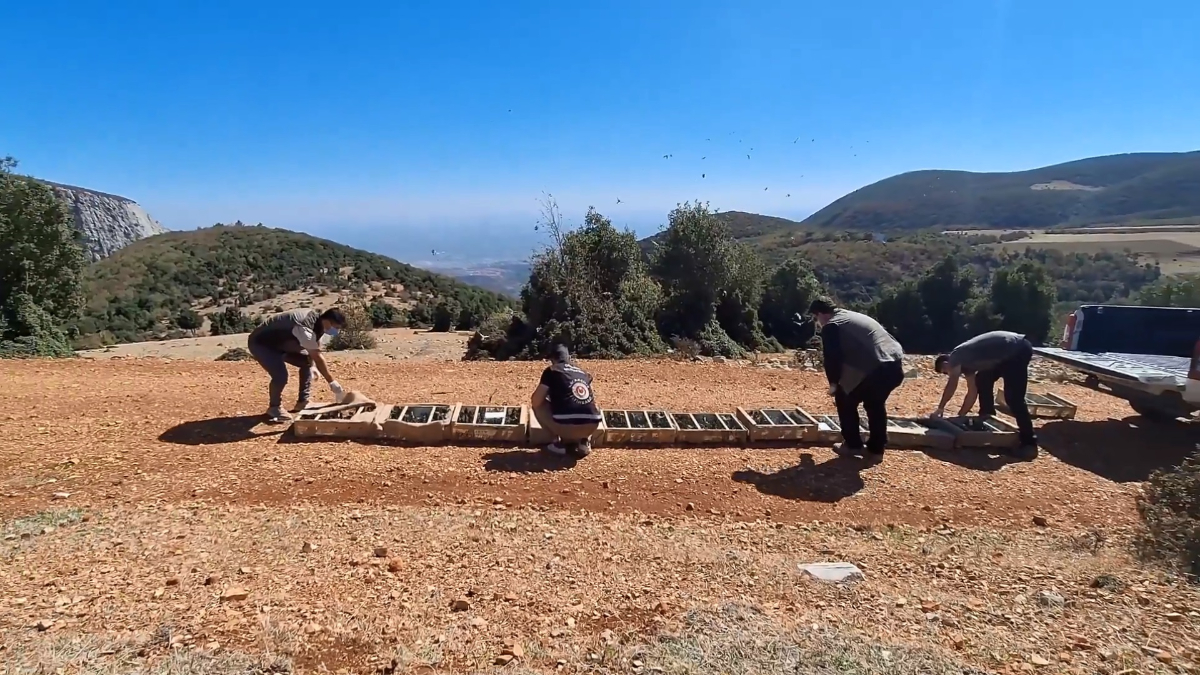 Hatay’da saka kuşu kaçakçılığına 10 milyon 897 bin TL ceza Hatay’da saka kuşu kaçakçılığına 10 milyon 897 bin TL ceza