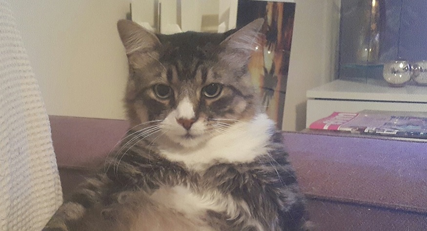 Hiçbir Şey İmkansız Değil