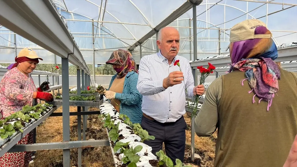 Manavgat’ta Dünya Kadın Çiftçiler Günü Kutlaması