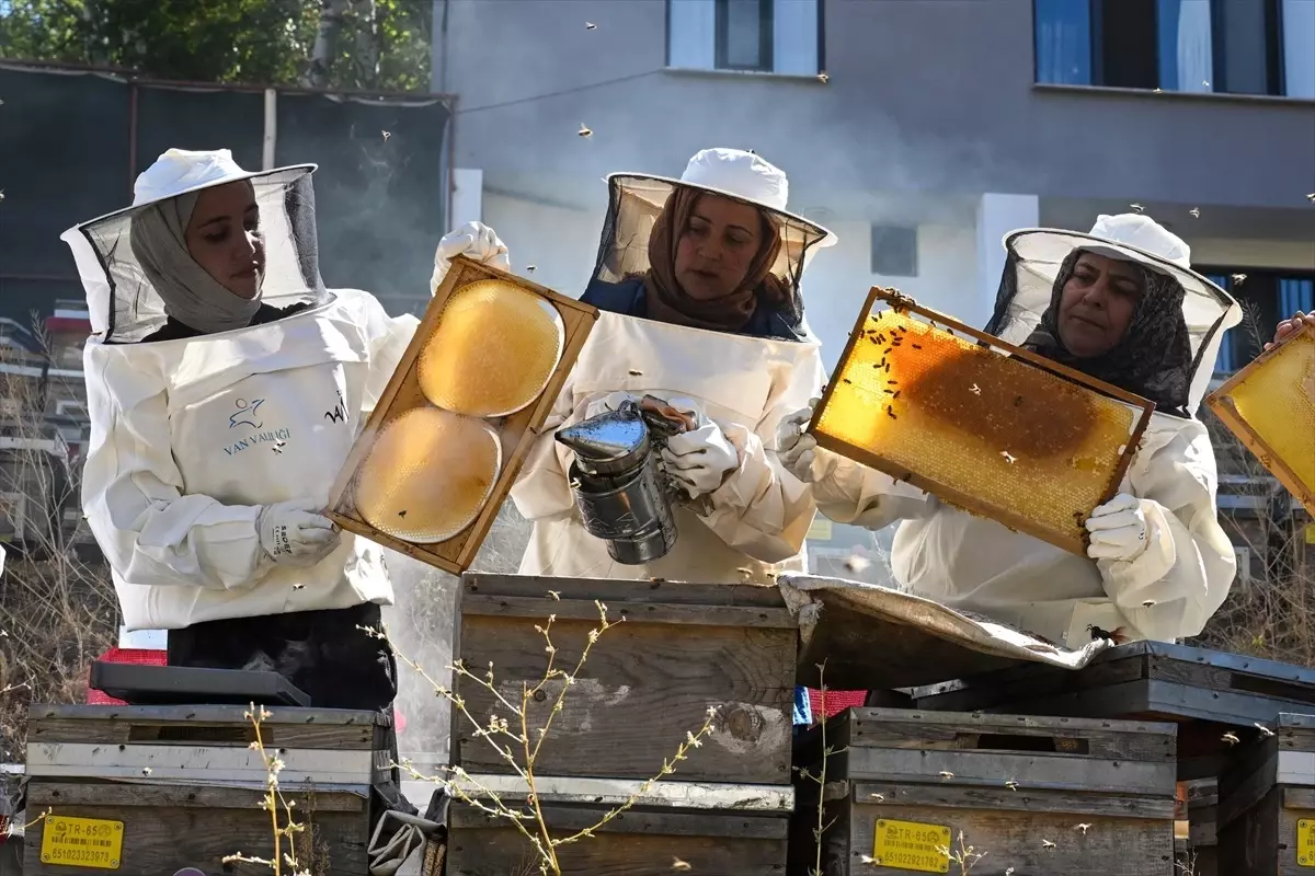 Bahçesaraylı Kadınlar Kara Kovan Balı Üretmeye Başladı