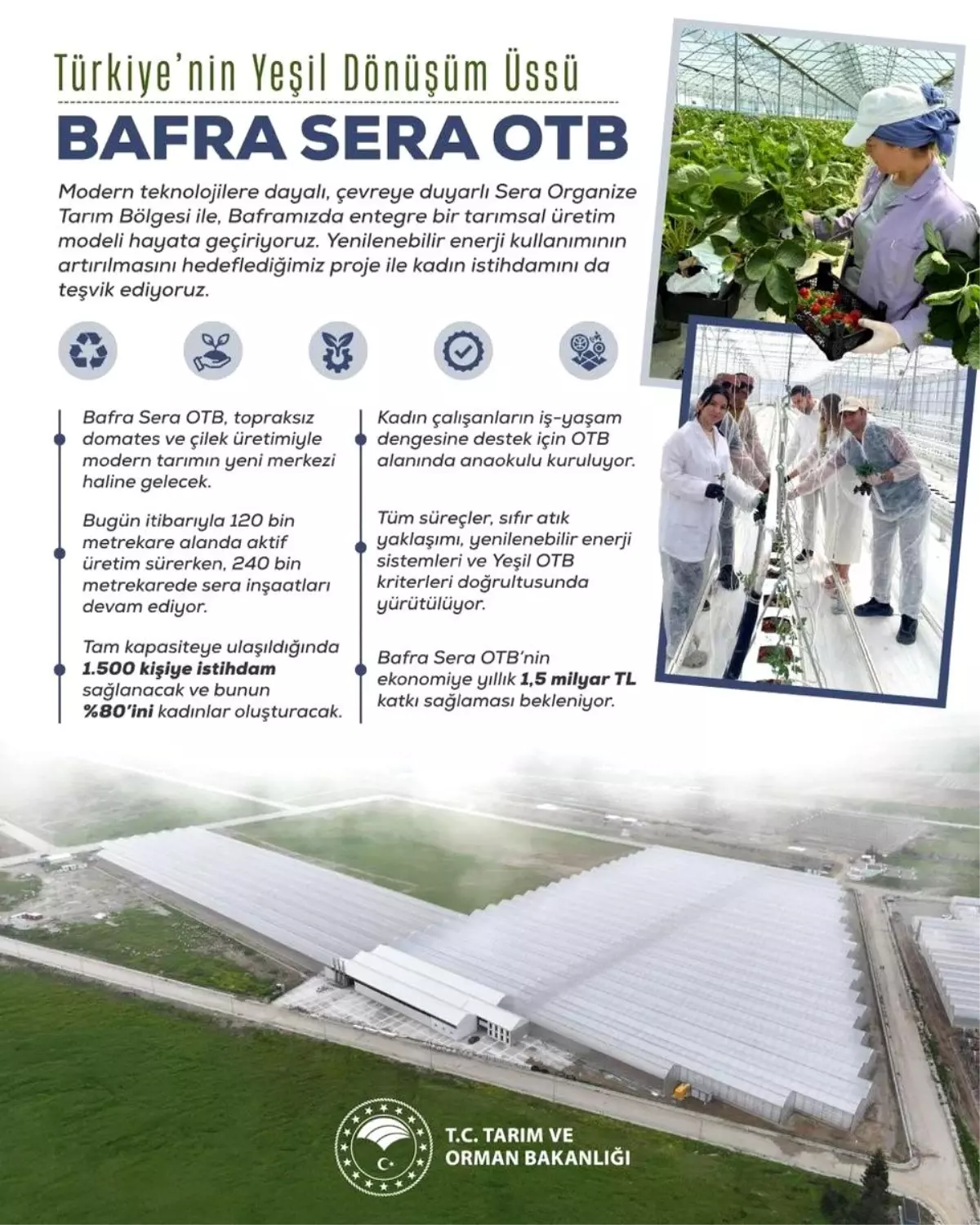 Bafra Sera Organize Tarım Bölgesi Projesi: Kadın İstihdamı ve Ekonomik Katkı