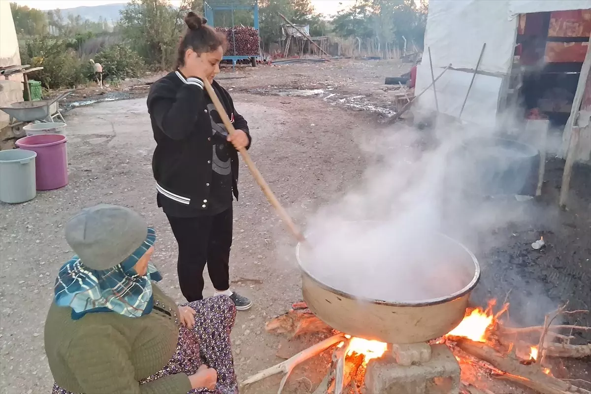 Havza’nın Kadınları Kış İçin Kuşburnu Marmeladı Yapıyor