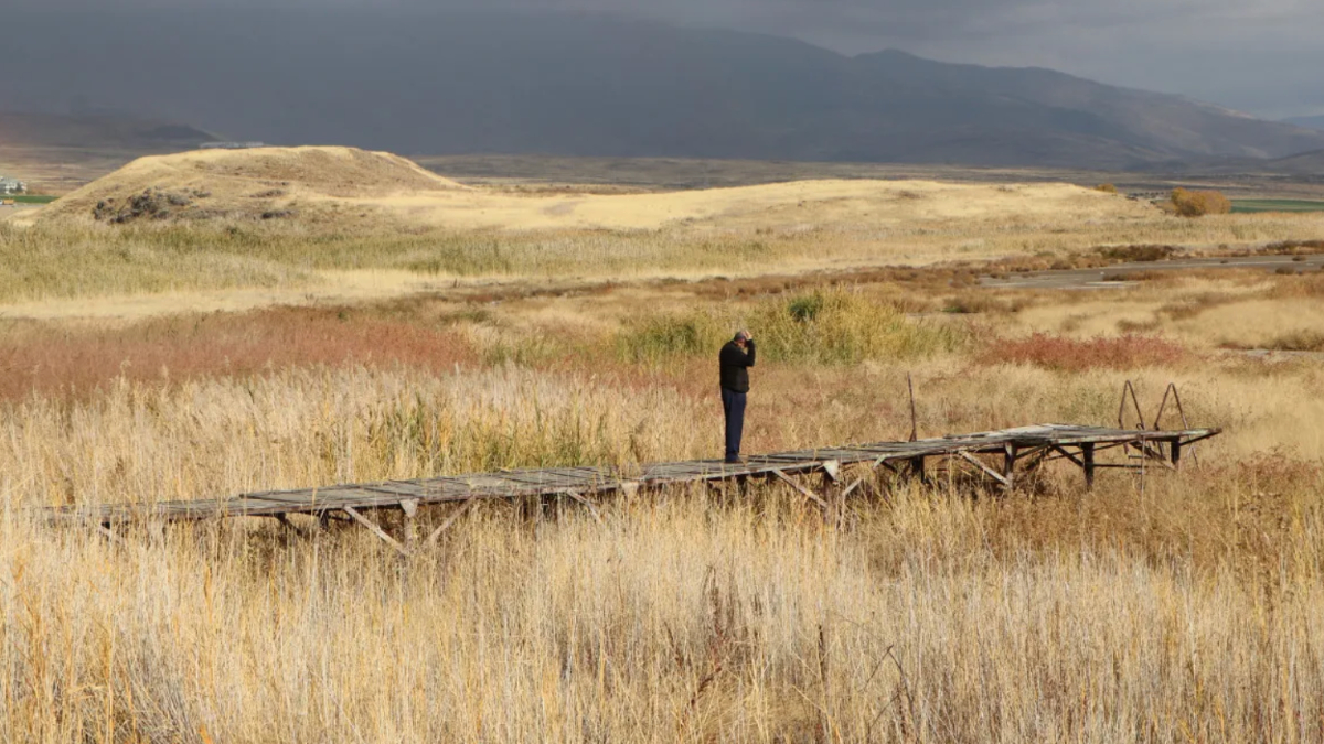 Van Gölü’ndeki Çekilme Fotoğraflarla Belgelendi