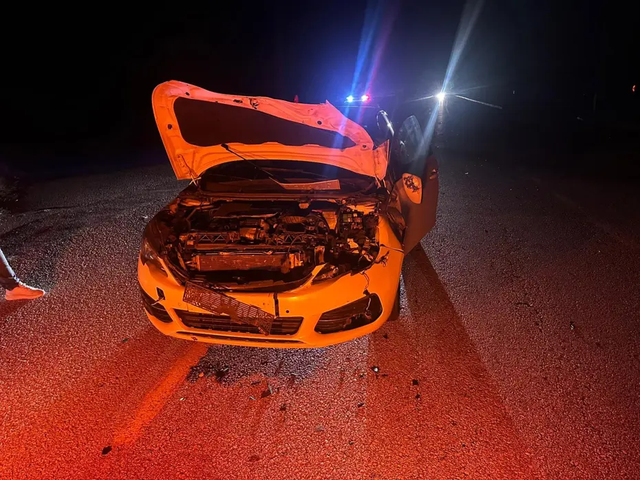 Çorum’da yola çıkan dana kazaya yol açtı: 2 yaralı Çorum’da yola çıkan dana kazaya yol açtı: 2 yaralı