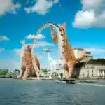 Kedi Severlerin İzlemesi Gereken Filmler