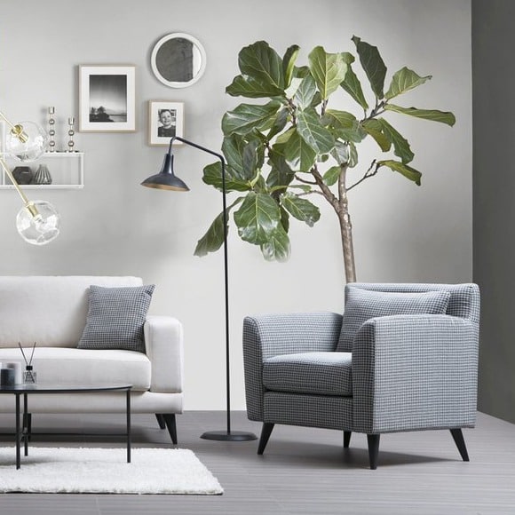 Salon Bitkisi Çeşitleri ve En İyi İç Mekan Bitkileri