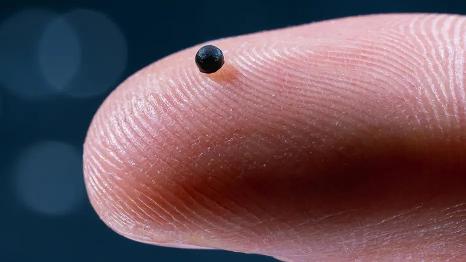 Mikro robot devrimi: Test sonuçları umut verici